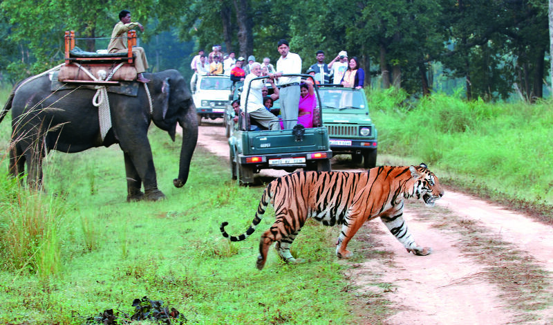 Jim-Corbett-National-Park